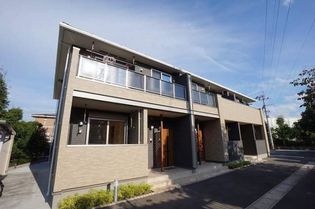 ライトウィッシュの画像