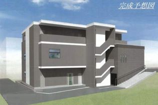 コスモス Nの画像