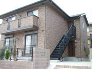 スターリー シェル グランシャンの画像