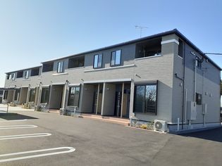 モーニンググローリーの画像