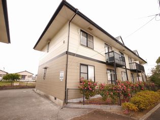 NEW ELDEM彩Aの画像