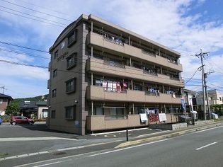 シャルムオヤマの画像