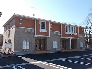 シトラスBの画像