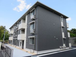 セレブ火の君の画像