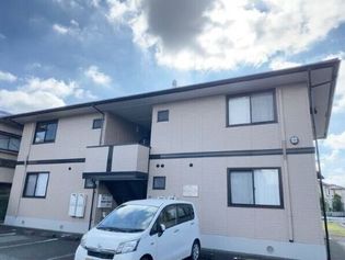 カメリアIIの画像