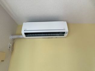 グリーン・ベルの画像