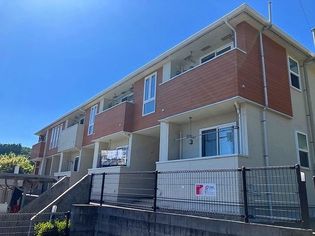 グリ−ンスプラウトCの画像