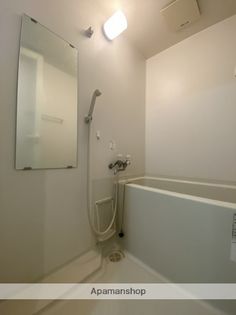 リードインアイエスヒラノの画像