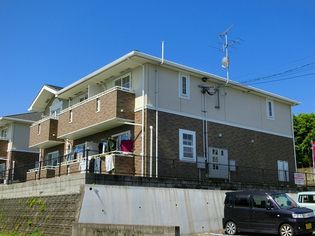 グレイスフルAの画像