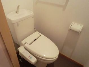 モデラートの画像