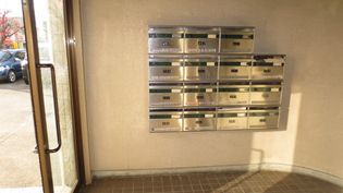 デラ・桜井の画像