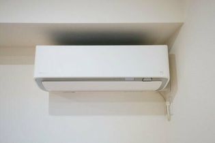 ベルリードキンモクセイの画像