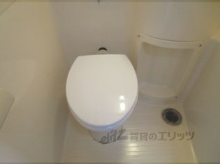 サンライズヒガシラの画像