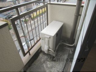 サンライズヒガシラの画像