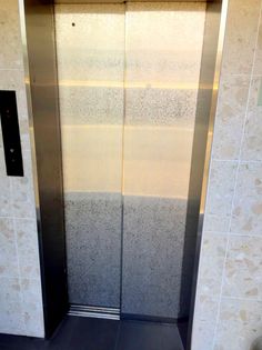 グリーンシャルバートの画像