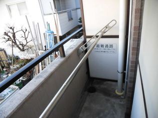 スターヴィオラK&Mの画像