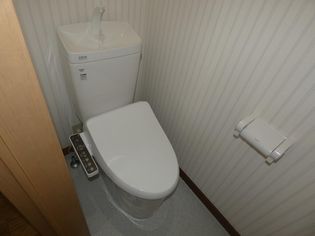 プラトー藤の温水洗浄便座