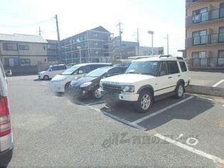 カシオペアの画像