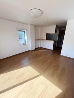 グレイスの画像