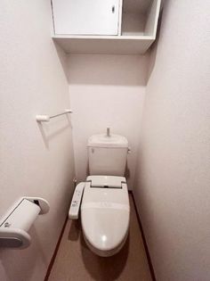 グレイスの画像