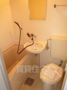 ラビスタの画像