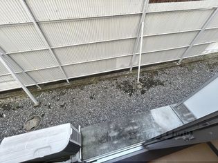 レオネクストサンシャイン岩室の画像