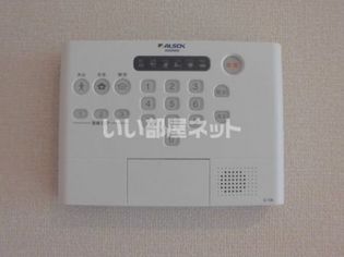 ルピナスの画像