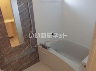 ルピナスの画像