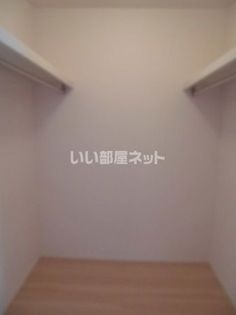 ルピナスの画像