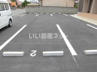 ルピナスの画像
