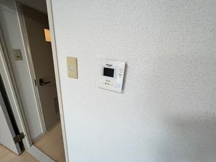 アネックスIIの画像
