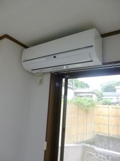 ルピナスの画像