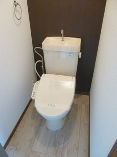 ルピナスの画像