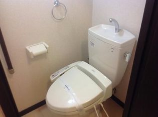 レオネクストリッフェルの画像