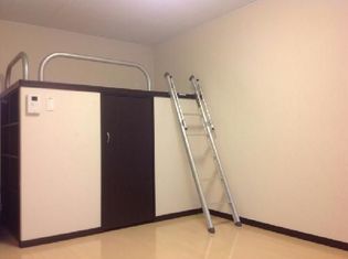 レオネクストリッフェルの画像