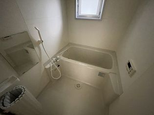 ピコットVIIの画像