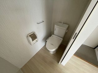 ピコットVIIの画像