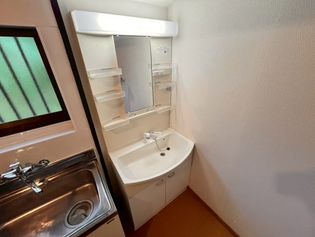 メープルの画像