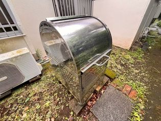 メープルの画像