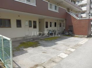 プラトー藤の画像