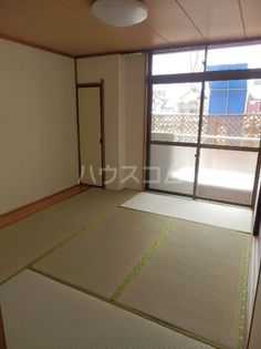 プラトー藤の画像