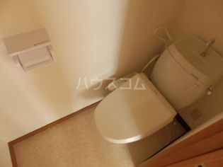 プラトー藤の画像