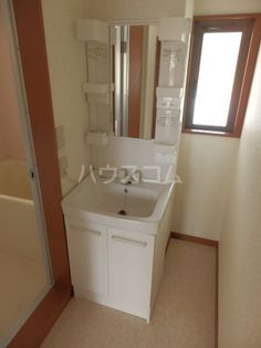 プラトー藤の画像