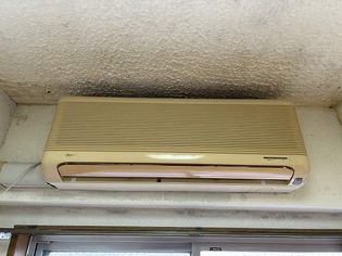 上賀茂松柏の画像