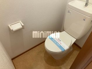 ルミエールの画像