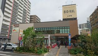 ビオラル 靭店(スーパー)まで50m