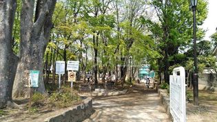 大宮前公園(公園)まで829m