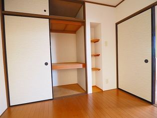 ダンディライオンの画像