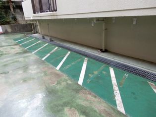 ジュネスタチバナの画像