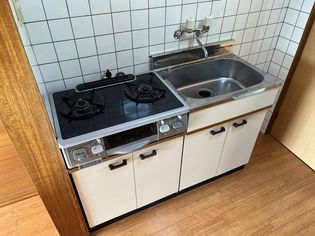 カリーナ泉の画像